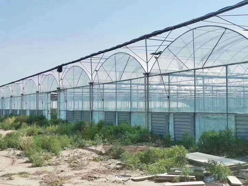 溫室大棚棚膜安裝有技巧青州高宏溫室告訴你！